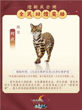 天龙八部私服屠龙荣耀